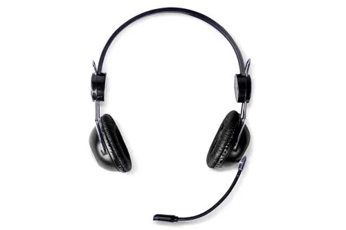 Headphones with Mic